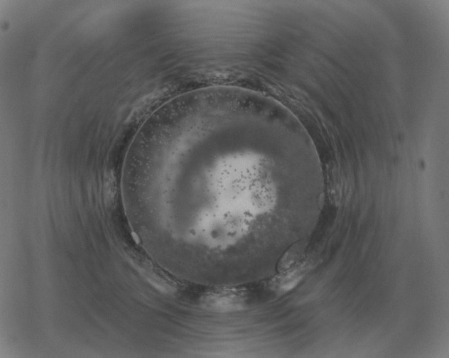 X0000068890563200605122037