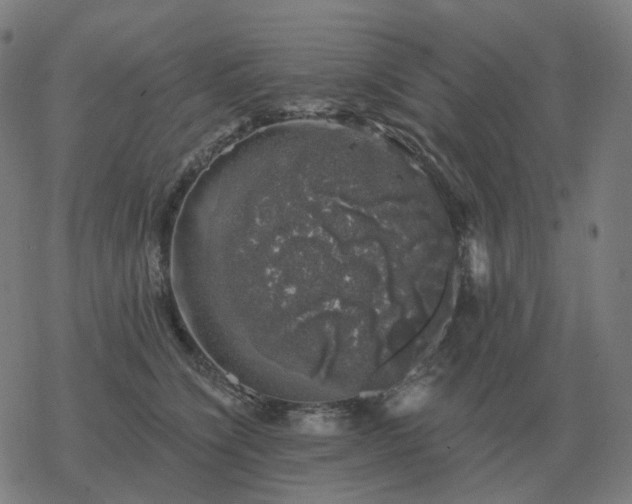 X0000068890564200605122037