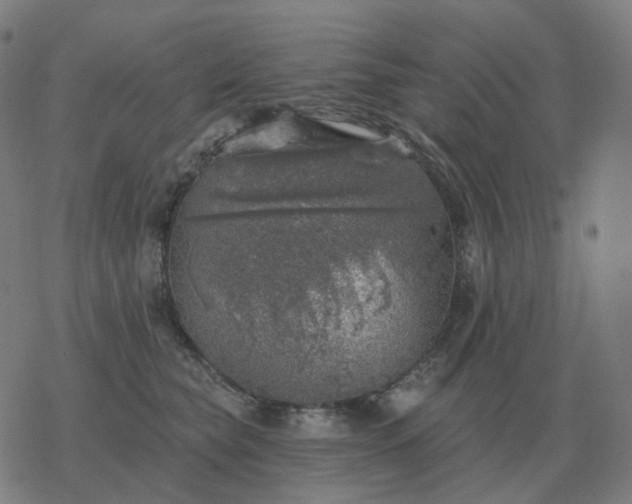 X0000068890565200605122037