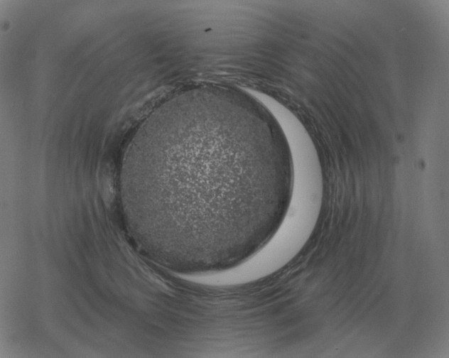 X0000068890566200605122037