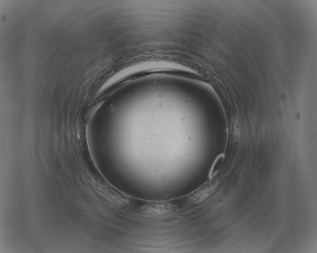 X0000068890567200605122037