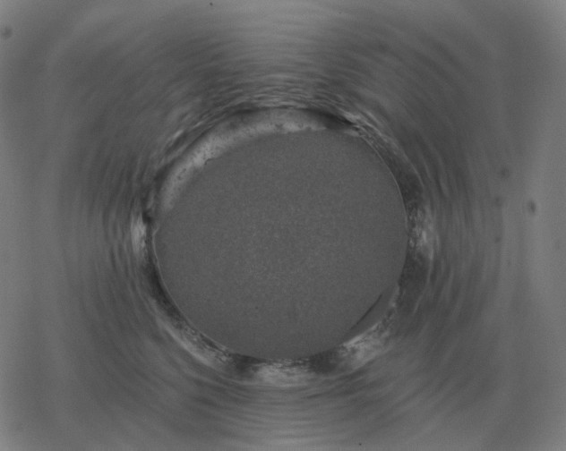 X0000068890568200605122037