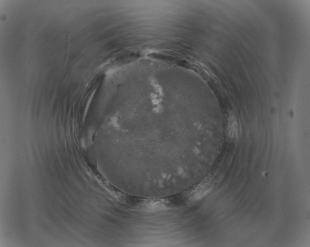 X0000068890569200605122037