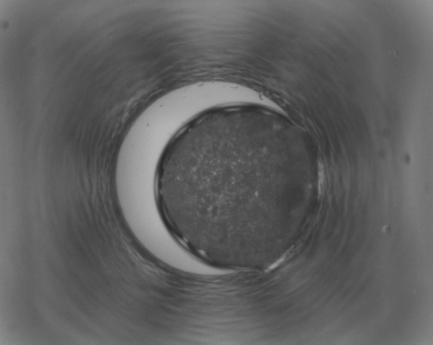 X0000068890570200605122037