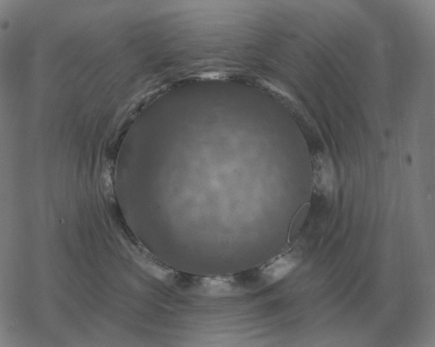 X0000068890573200605122037