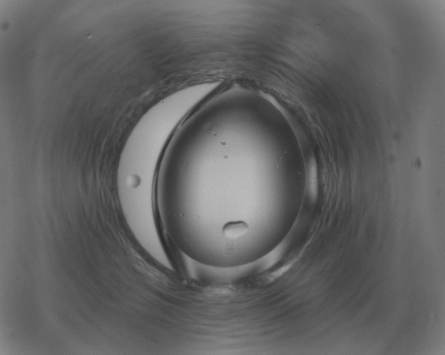 X0000068890574200605122037