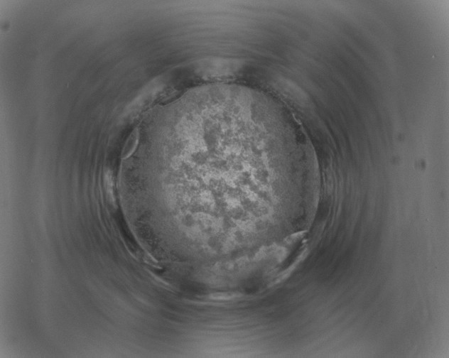 X0000068890575200605122037