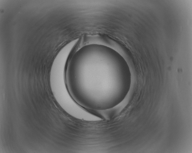 X0000068890576200605122037