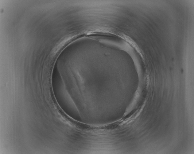 X0000068890577200605122036