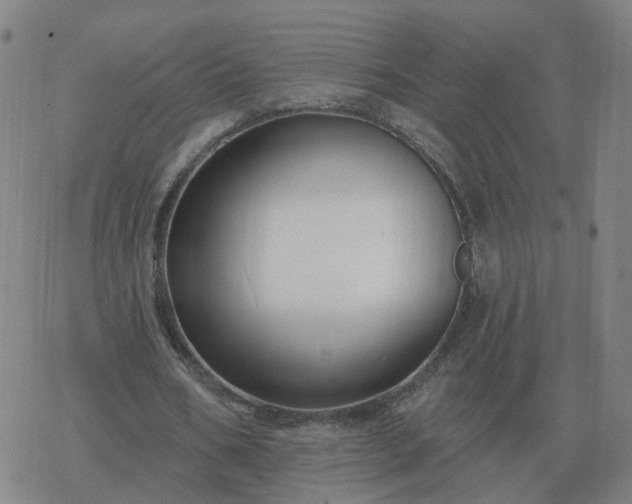 X0000068890578200605122036