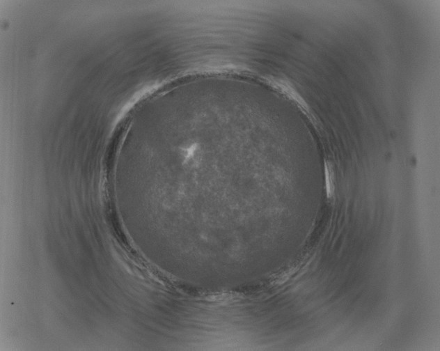 X0000068890579200605122036