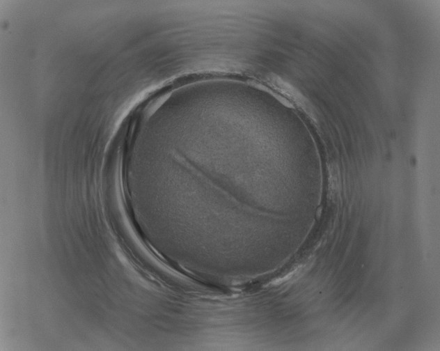 X0000068890580200605122036