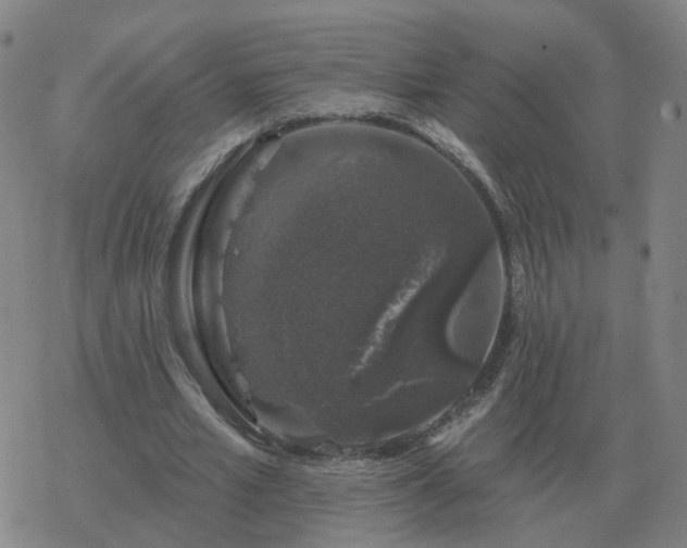 X0000068890581200605122036