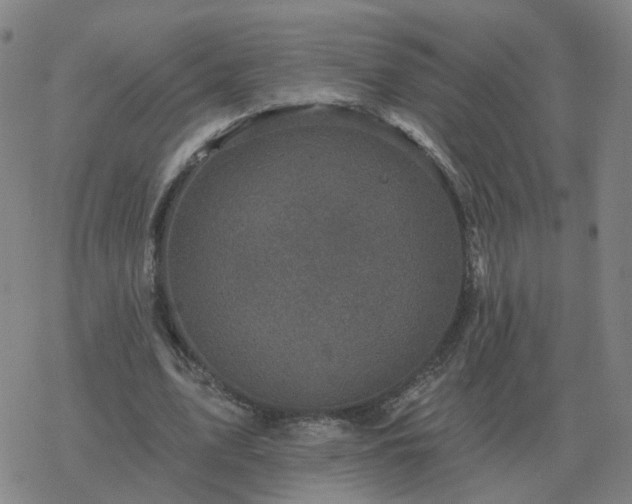 X0000068890583200605122036