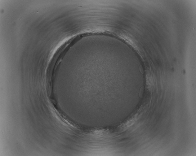 X0000068890584200605122036