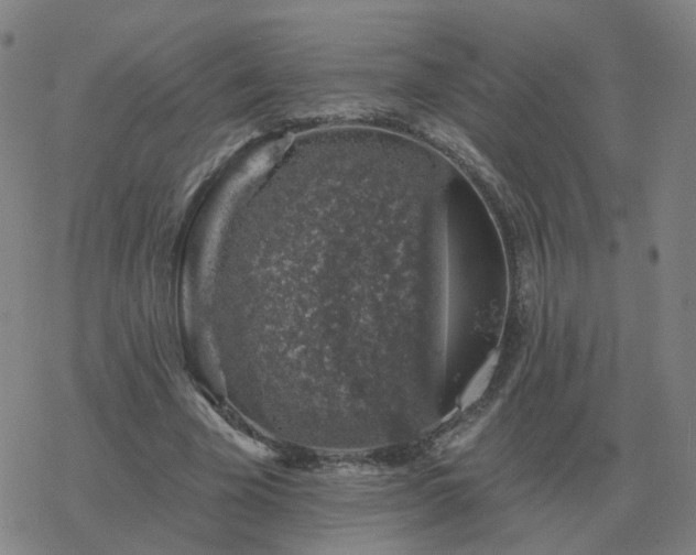 X0000068890585200605122036