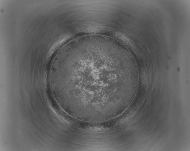 X0000068890586200605122036