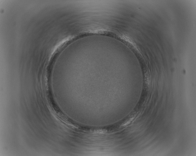 X0000068890587200605122036