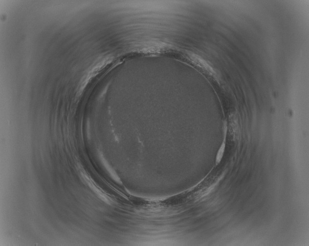 X0000068890589200605122036