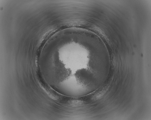 X0000068890590200605122036