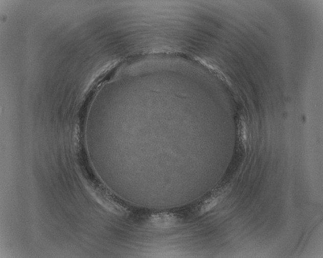 X0000068890591200605122036