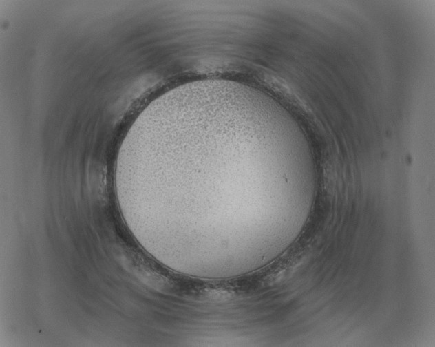 X0000068890592200605122036