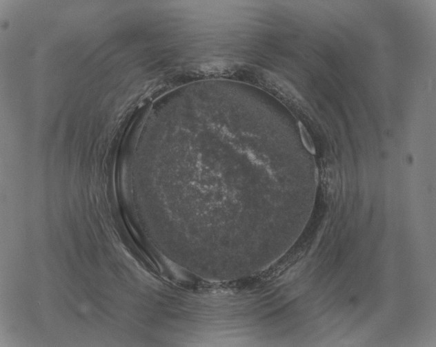 X0000068890593200605122036