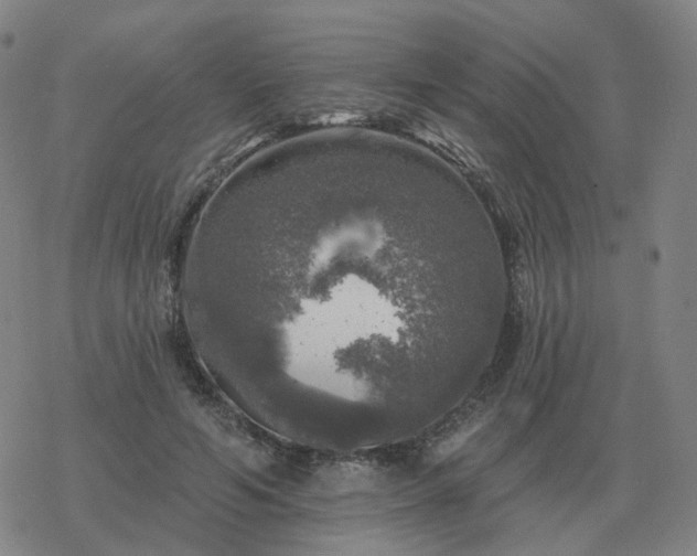 X0000068890594200605122036