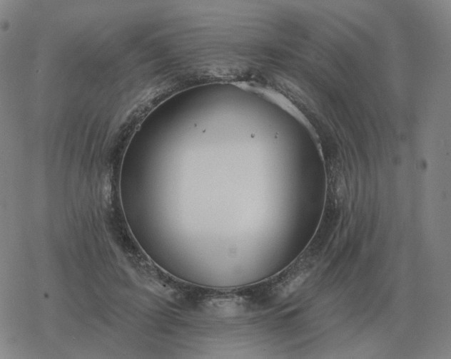 X0000068890595200605122036