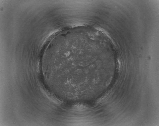 X0000068890596200605122036