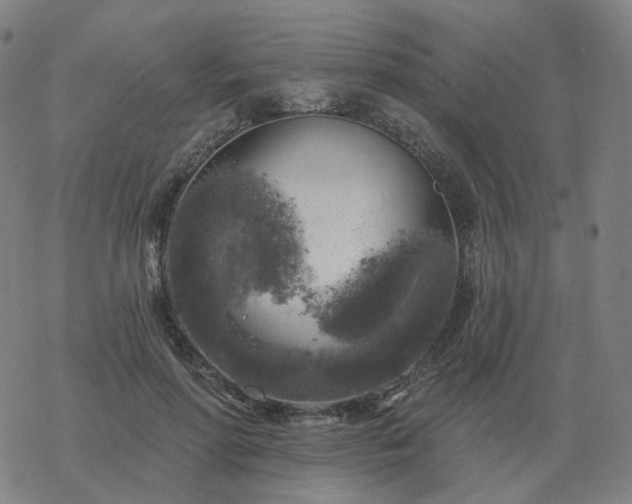 X0000068890598200605122036