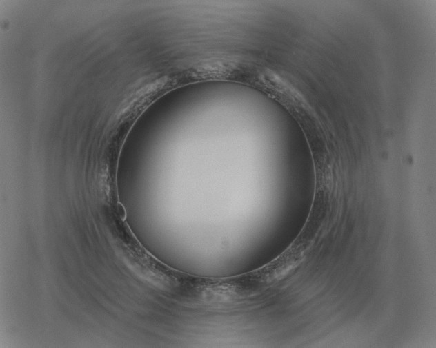 X0000068890599200605122036