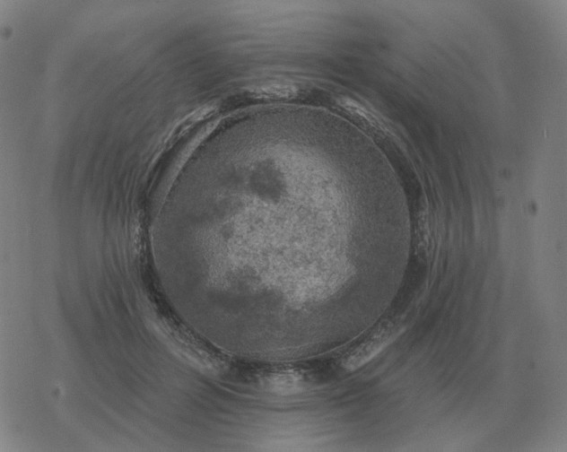 X0000068890600200605122036