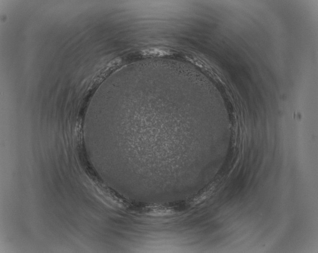 X0000068890601200605122036