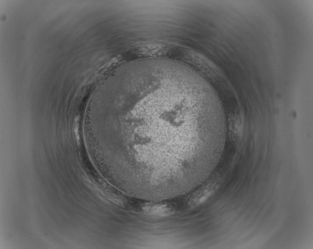 X0000068890602200605122036