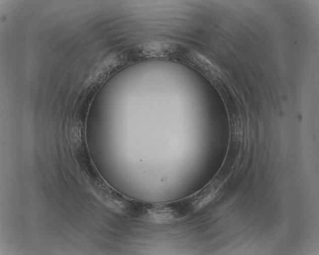 X0000068890603200605122036