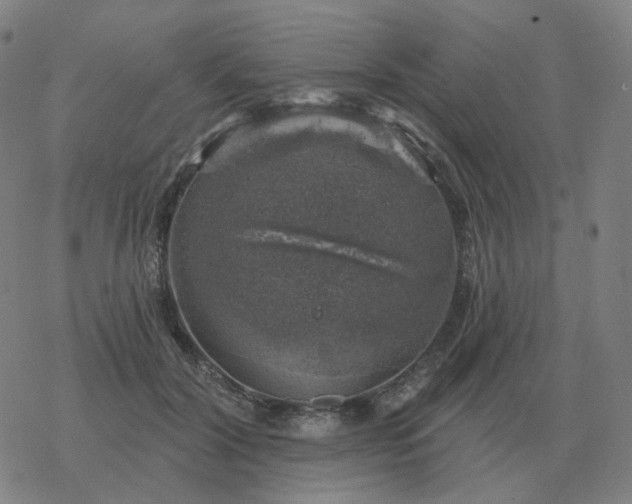 X0000068890604200605122036