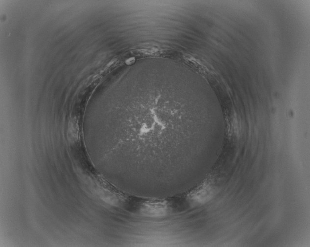 X0000068890606200605122036