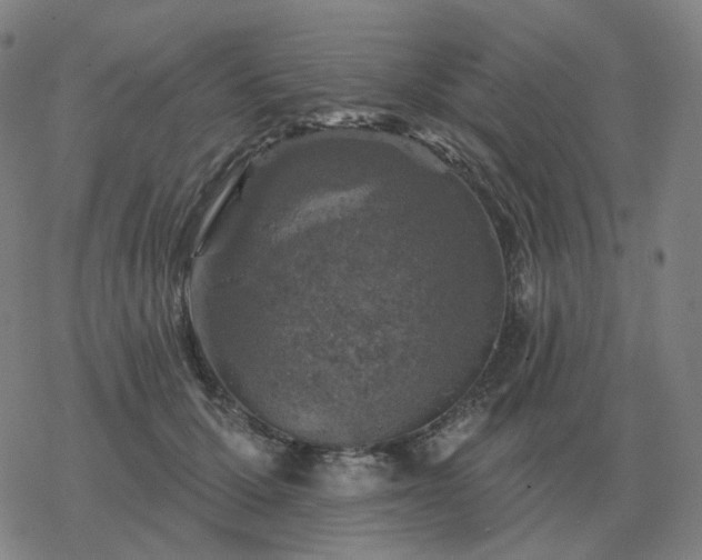 X0000068890607200605122036