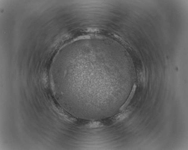 X0000068890609200605122035