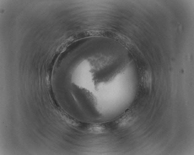 X0000068890610200605122035