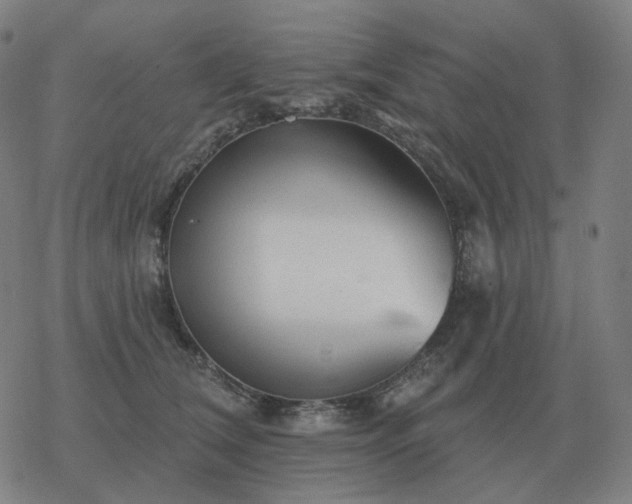 X0000068890612200605122035