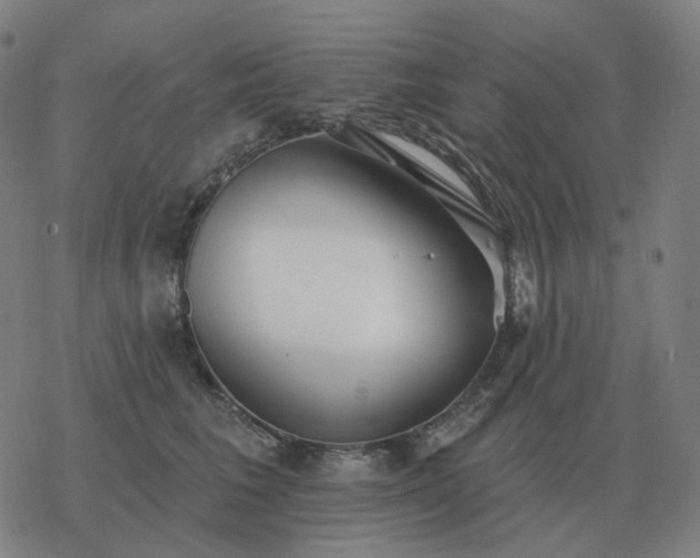 X0000068890613200605122035