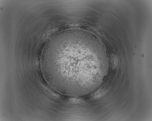 X0000068890614200605122035