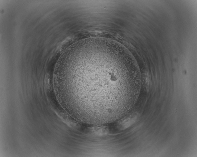 X0000068890615200605122035