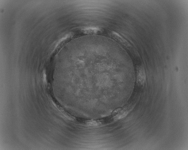 X0000068890616200605122035