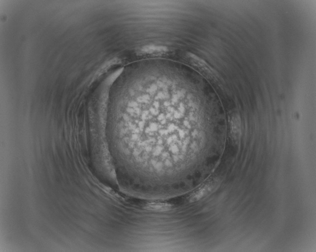 X0000068890617200605122035