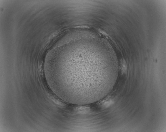 X0000068890619200605122035