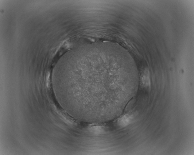 X0000068890620200605122035