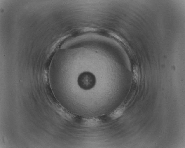 X0000068890621200605122035